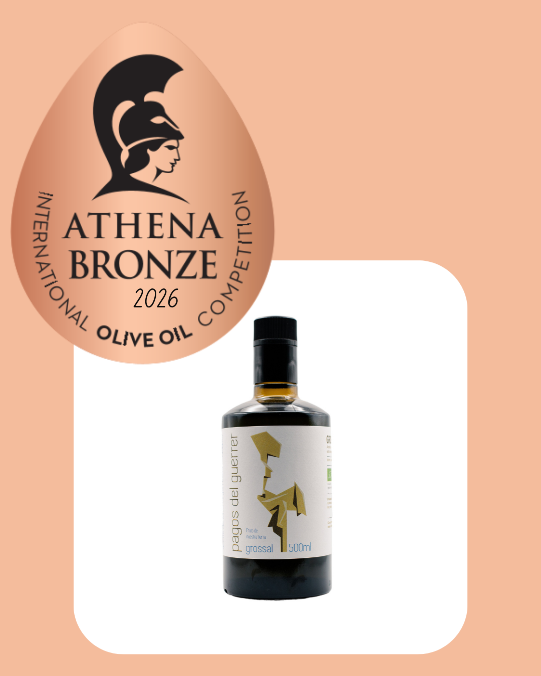 MEDALLA DE BRONCE EN EL CERTAMEN INTERNACIONAL ATHENA IOOC 2026